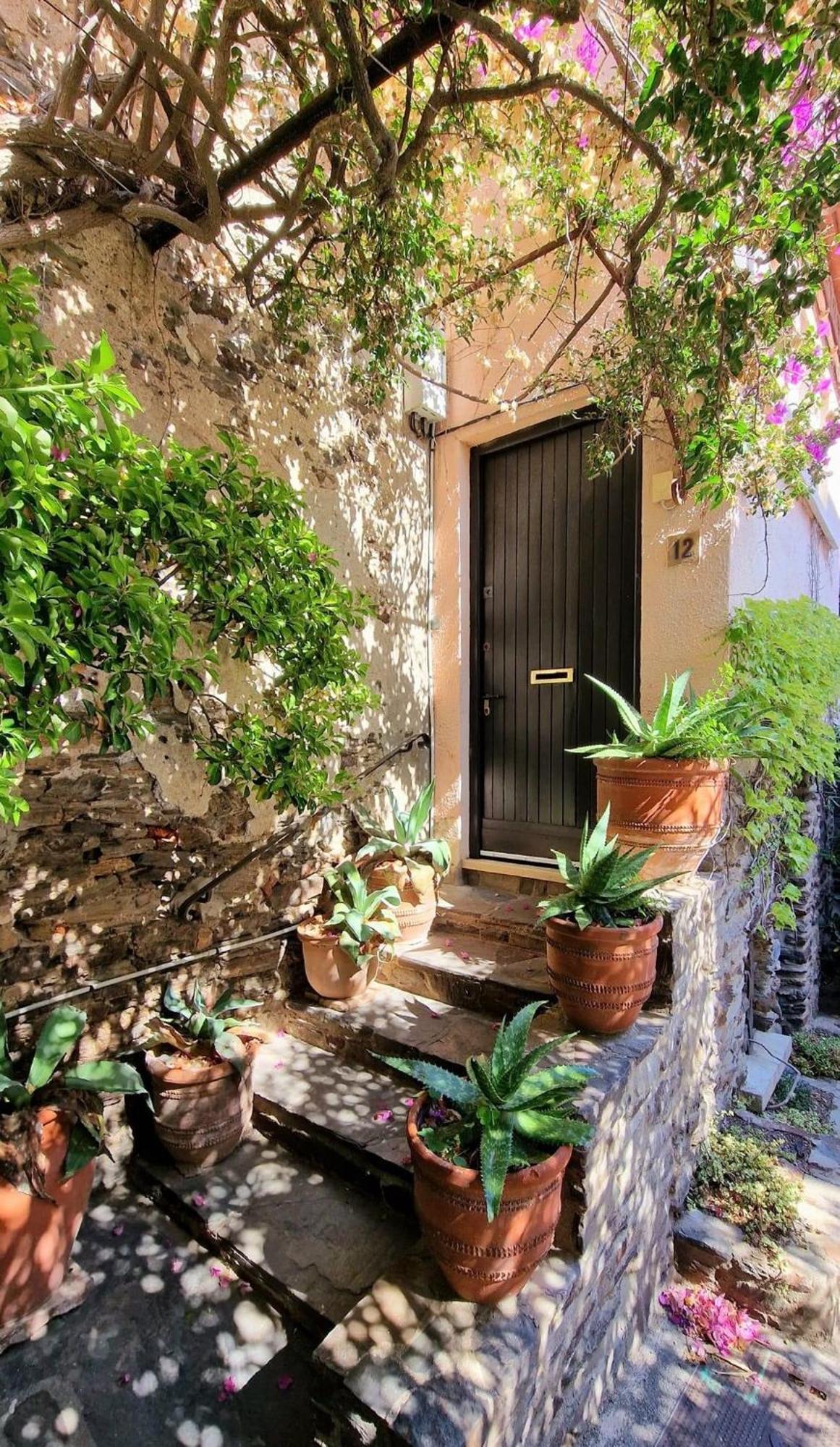 5Rbut1 - Maison Familiale Sur Deux Niveaux En Plein Coeur Du Centre Ville Collioure Exterior photo